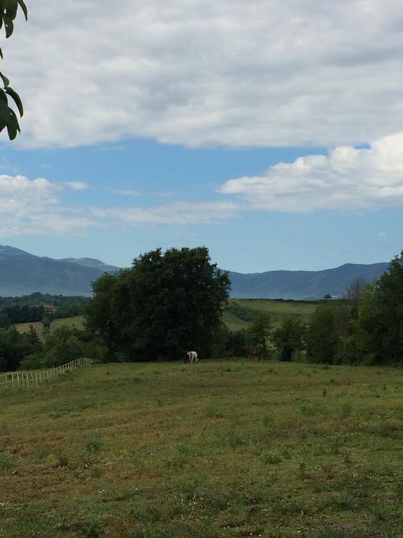 Tenuta Di Vico Moricino Anagni Chambre photo